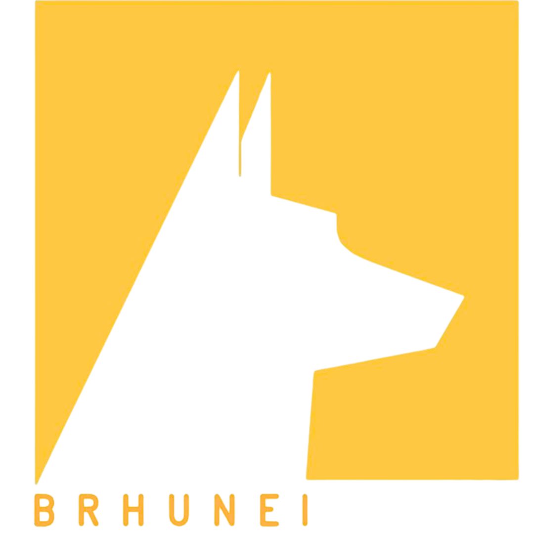 CONSTRUCTORA BRHUNEI